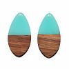 Transparent Resin & Walnut Wood Pendants RESI-N025-032-C04-1