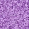 FGB Frosted Transparent Glass Seed Beads SEED-N013-05A-07-3