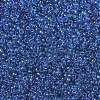 MIYUKI Round Rocailles Beads X-SEED-G007-RR0149-3