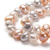Natural Cultured Freshwater Pearl Beads Strands PEAR-L033-45D-2