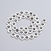 Natural Shell Beads Strands SSHEL-I024-03C-02-2