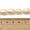 Natural Cultured Freshwater Pearl Beads Strands PEAR-I007-01H-02B-5