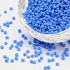 (Repacking Service Available) Glass Seed Beads SEED-C019-2mm-43B-1