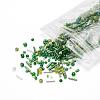 Glass Seed Beads X-SEED-S059-006-3