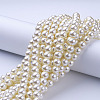 Glass Pearl Beads Strands HY-10D-B02-4