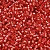 TOHO 6/0 Round Beads X-SEED-TR06-2201-4