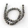 Natural Map Stone/Picasso Stone/Picasso Jasper Beads Strands X-G-S188-6mm-3