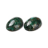 Natural Malachite Cabochons G-E464-42P-3