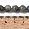 Natural Labradorite Beads Strands G-J120-28-8mm-A-4