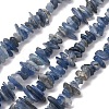Natural Kyanite/Cyanite/Disthene Chip Beads Strands X-G-E271-78-1