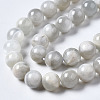 Natural White Moonstone Beads Strands G-N328-51B-01-3