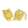 Transparent Glass Beads GLAA-D025-06I-2