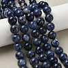 Round Natural Sodalite Beads Strands G-F222-39-14mm-5