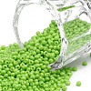 12/0 FGB Grade A Round Glass Seed Beads SEED-N001-A-1024-1