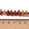 Natural Red Rabbit Fur Rutilated Quartz Beads Strands G-L649-C06-01-5