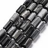 Natural Hawk's Eye Beads Strands G-S345-8x11-009-1