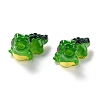 Resin Cabochons LS-RESI-I043-09-2