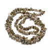 Natural Labradorite Chip Bead Strands G-M205-13-3
