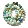 Natural Chrysocolla Beads Strands G-F784-A01-02-3