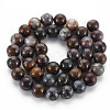 Natural Pietersite Beads Strands G-R446-10mm-13-2
