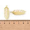 Rainbow Iridescent Plating Resin Pendants RESI-C047-03C-G-3