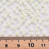 8/0 Opaque Glass Seed Beads SEED-S048-N-010-4