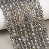 Natural Labradorite Beads Strands G-O176-04B-5