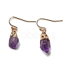 Natural Amethyst Dangle Earrings EJEW-G413-01B-G-2