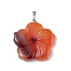 Natural Red Agate Big Pendants G-B040-01P-09-2