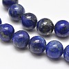 Natural Lapis Lazuli Round Bead Strands G-E262-01-12mm-2