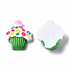 Spray Painted Resin Cabochons CRES-Q215-005-3