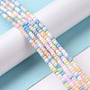 Glass Seed Bead Strands LAMP-B021-04E-2