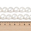 Electroplated Shell Pearl Beads Strands BSHE-G027-13B-5