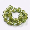 Handmade Lampwork Beads DT122J-2