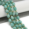 Natural Amazonite Beads Strands G-N342-46-2