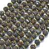 Natural Snowflake Obsidian Beads Strands G-K389-E32-01-1