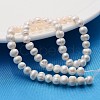 Natural Cultured Freshwater Pearl Beads Strands X-A23WT011-2