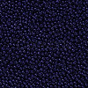 11/0 FGB Grade A Baking Paint Glass Seed Beads X-SEED-N001-A-1009-2