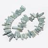 Natural Kyanite/Cyanite/Disthene Beads Strands G-F462-04-2