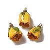 Preserved Rose with Golden Alloy Pendants LS-FIND-M010-01C-1