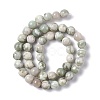 Natural Peace Jade Beads Strands G-G905-07-3