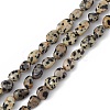 Natural Dalmatian Jasper Beads Strands G-B039-03A-1