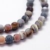 Frosted Natural Weathered Agate Beads Strands X-G-F367-8mm-07-3