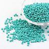 8/0 3mm Baking Paint Glass Seed Beads X-SEED-S002-K10-1