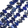 Natural Lapis Lazuli Beads Strands G-L657-E01-01-2