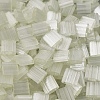 MIYUKI TILA Beads SEED-MY05-TL2591-3