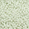 Baking Paint Pearlized Glass Seed Beads SEED-C001-04A-01-3