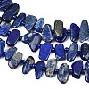 Natural Lapis Lazuli Beads Strands G-L657-E01-01-4