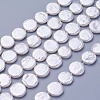 Shell Pearl Beads Strands BSHE-P030-01C-2
