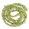 Natural Peridot Beads Strands G-G0003-B27-3